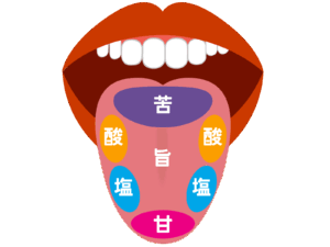 武蔵小杉の歯医者、武蔵小杉ネゴ歯科矯正歯科で歯磨き後に味覚が変わるのはなぜ？その理由や対処法を解説